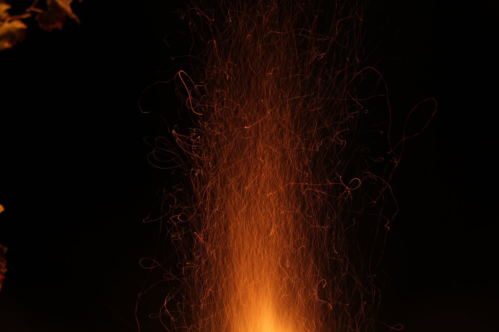 Glowing sparks rising into the night.